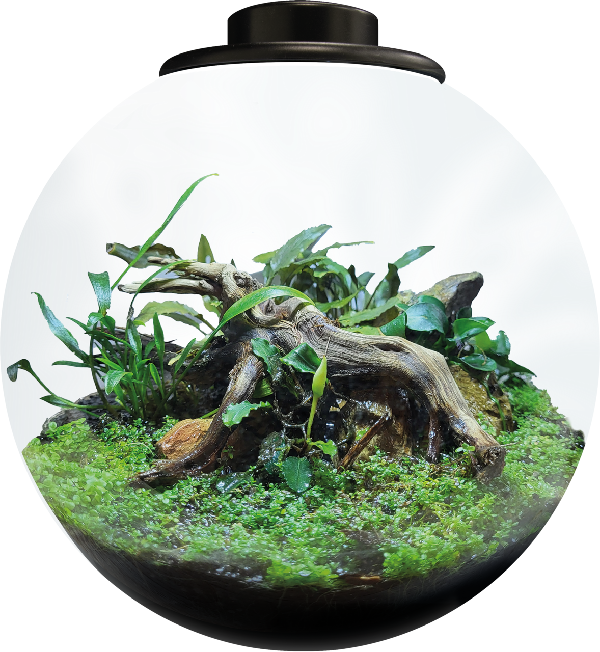 BioArt Bowl 225 LED Nano Garden