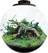 BioArt Bowl 225 LED Nano Garden