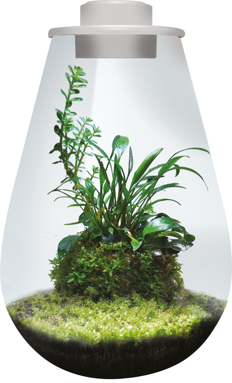 BioArt Drop 285 LED Nano Garden