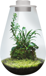 BioArt Drop 285 LED Nano Garden