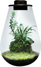BioArt Drop 285 LED Nano Garden