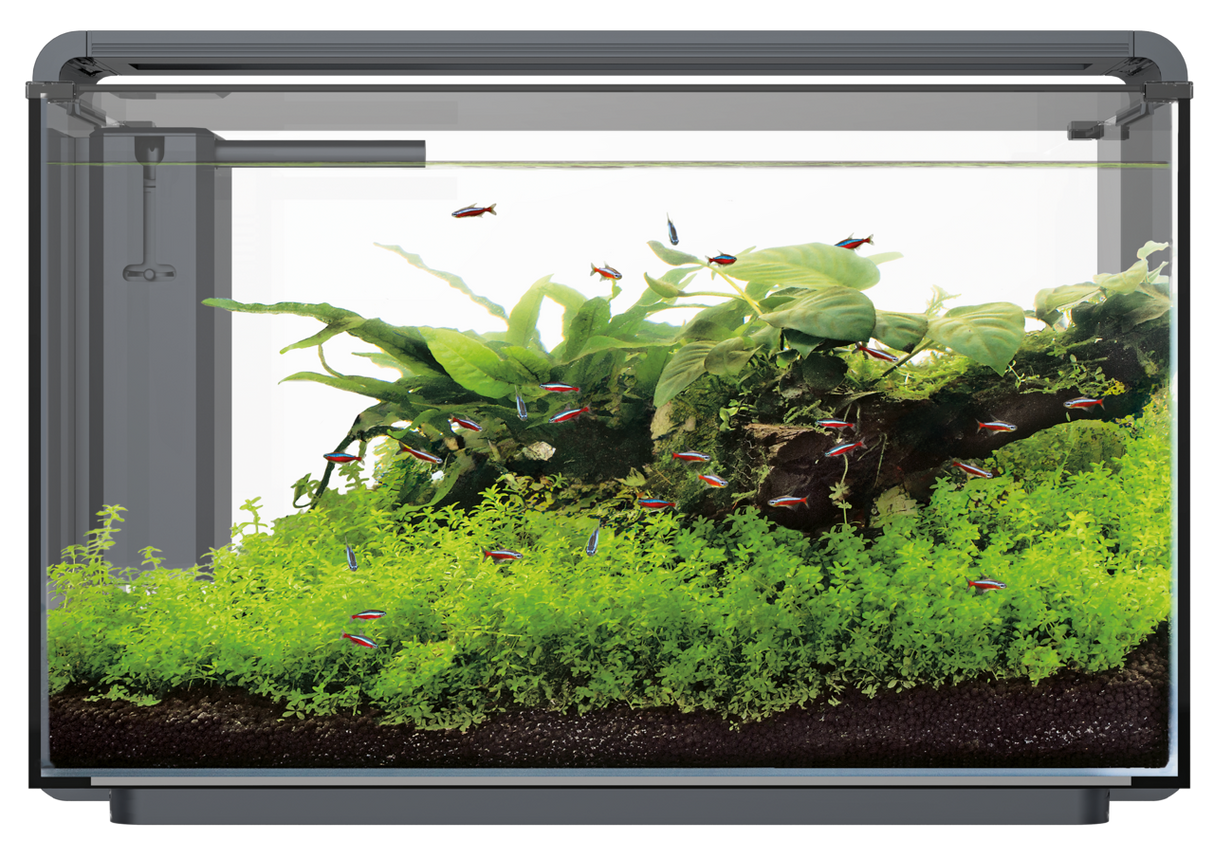 SuperFish Home ProLED Aquarium Komplettset – LED, Filter & modernes Design