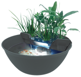 SuperFish Mini Pond Terrassenteich Mini Teich
