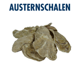 10 Liter Eimer japanische Austernschalen Muschelschalen für optimale KH Karbonathärte und PH Wert