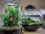 BioArt Bowl 225 LED Nano Garden