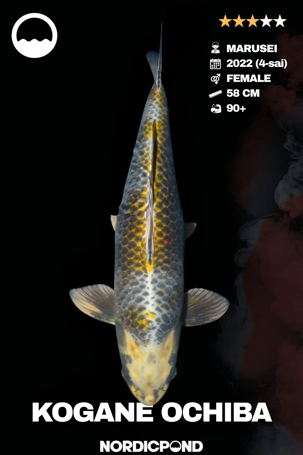 Marusei Kogane Ochiba – Female