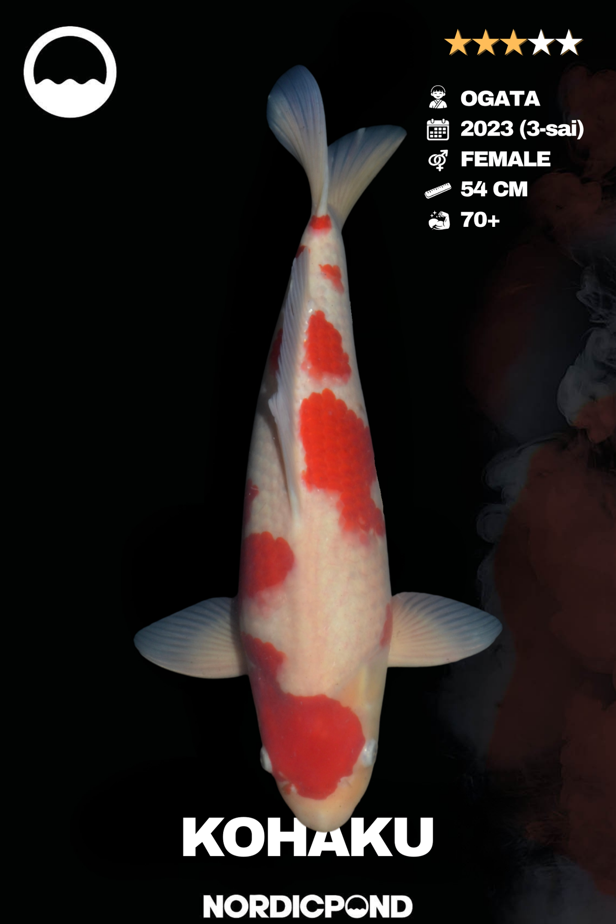 Ogata Kohaku – Female