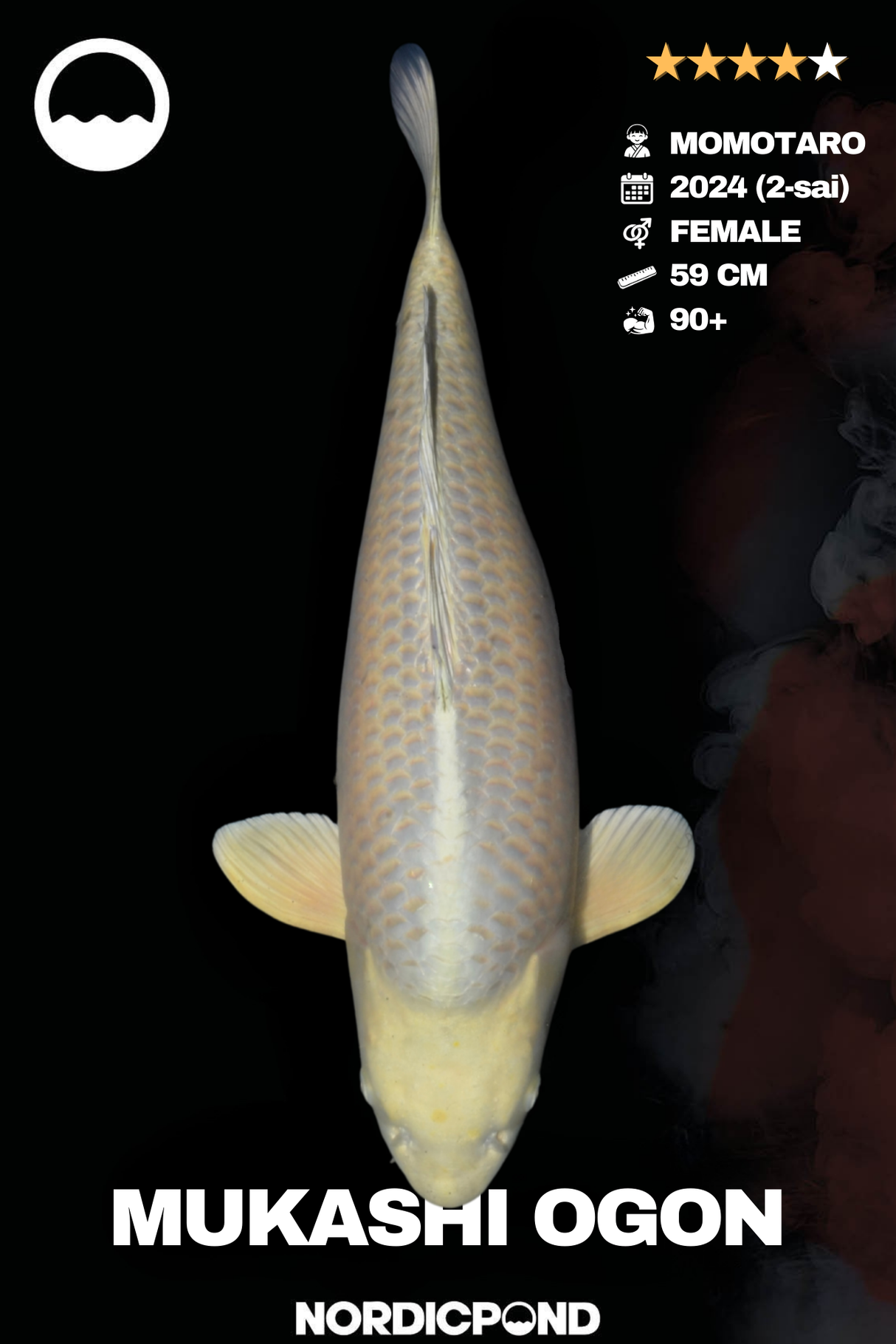 Momotaro Mukashi Ogon – Female