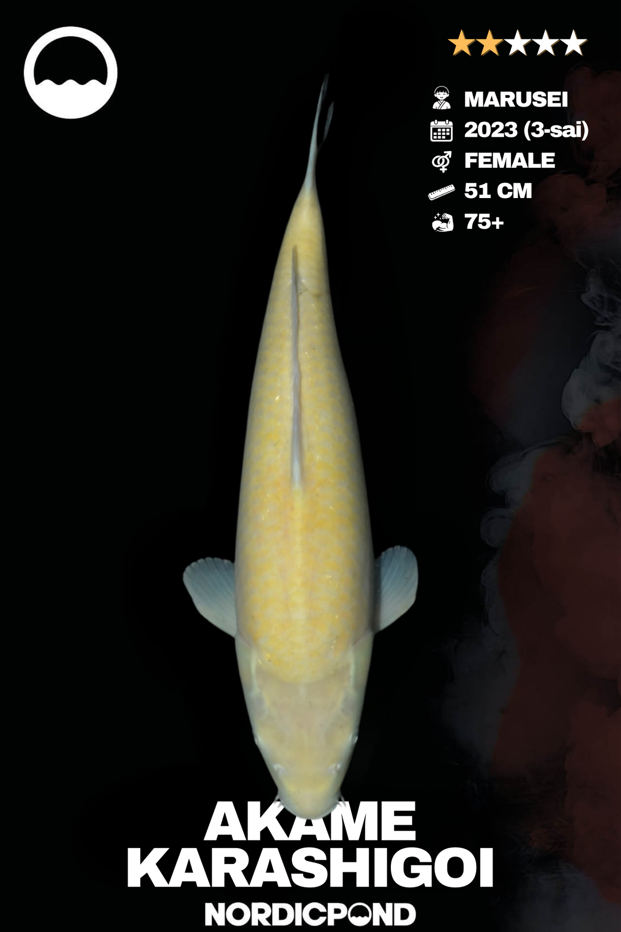 Marusei Akame Karishigoi Female