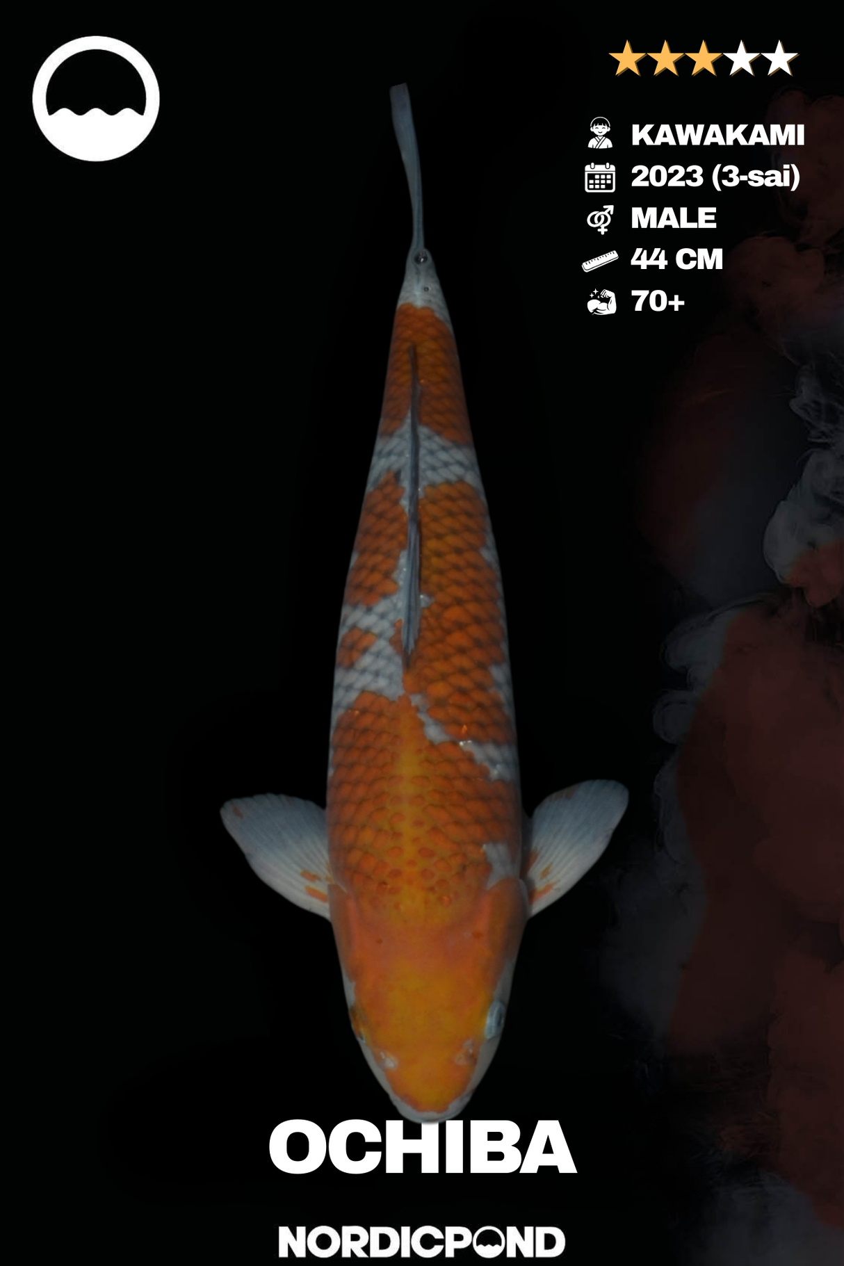 Kawakami Ochiba Male