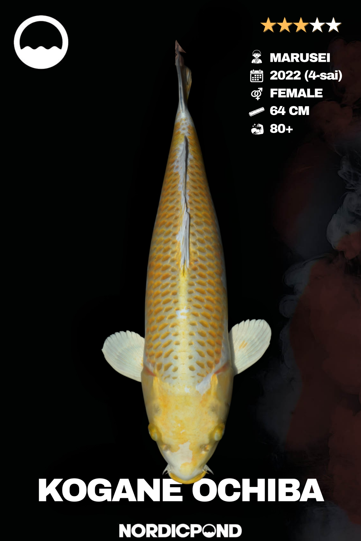 Kogane Ochiba Female