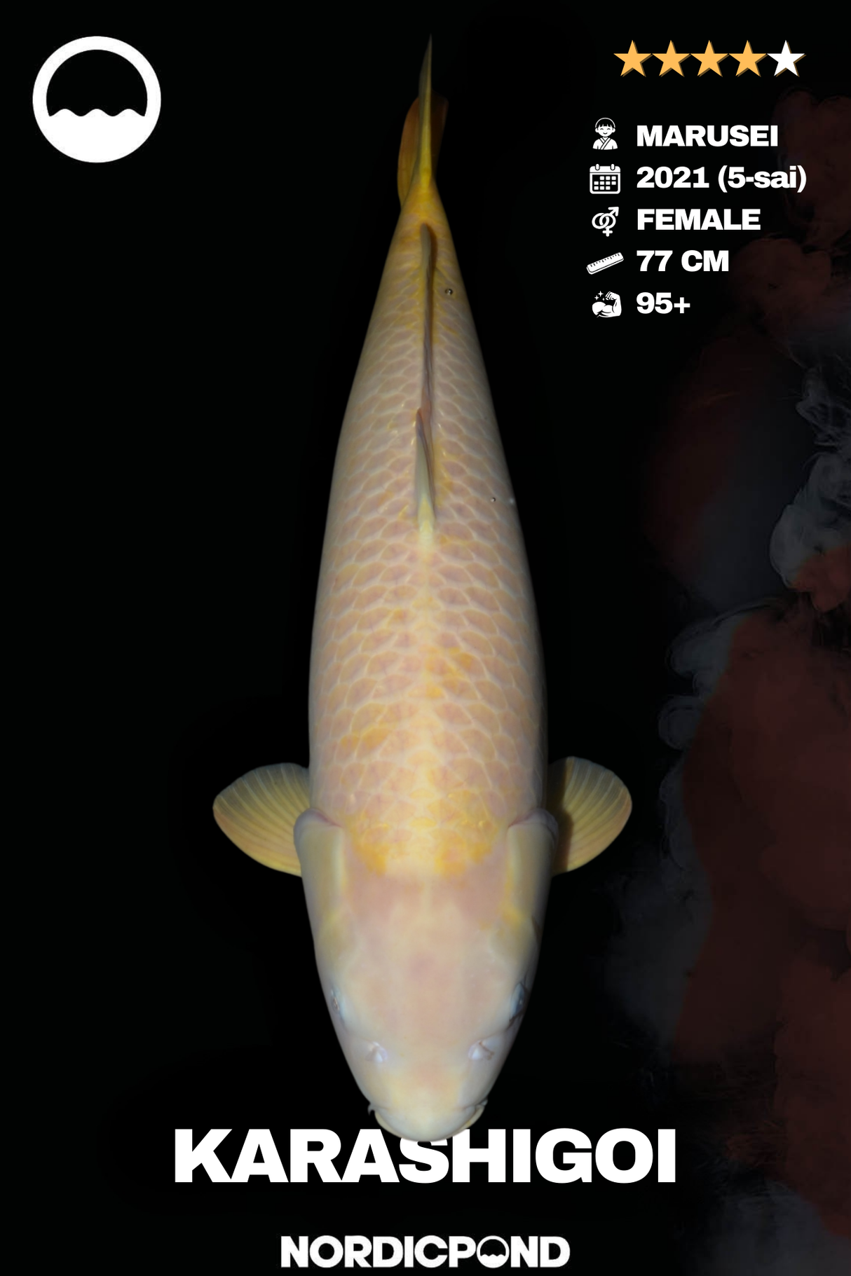 Marusei Karashigoi Female