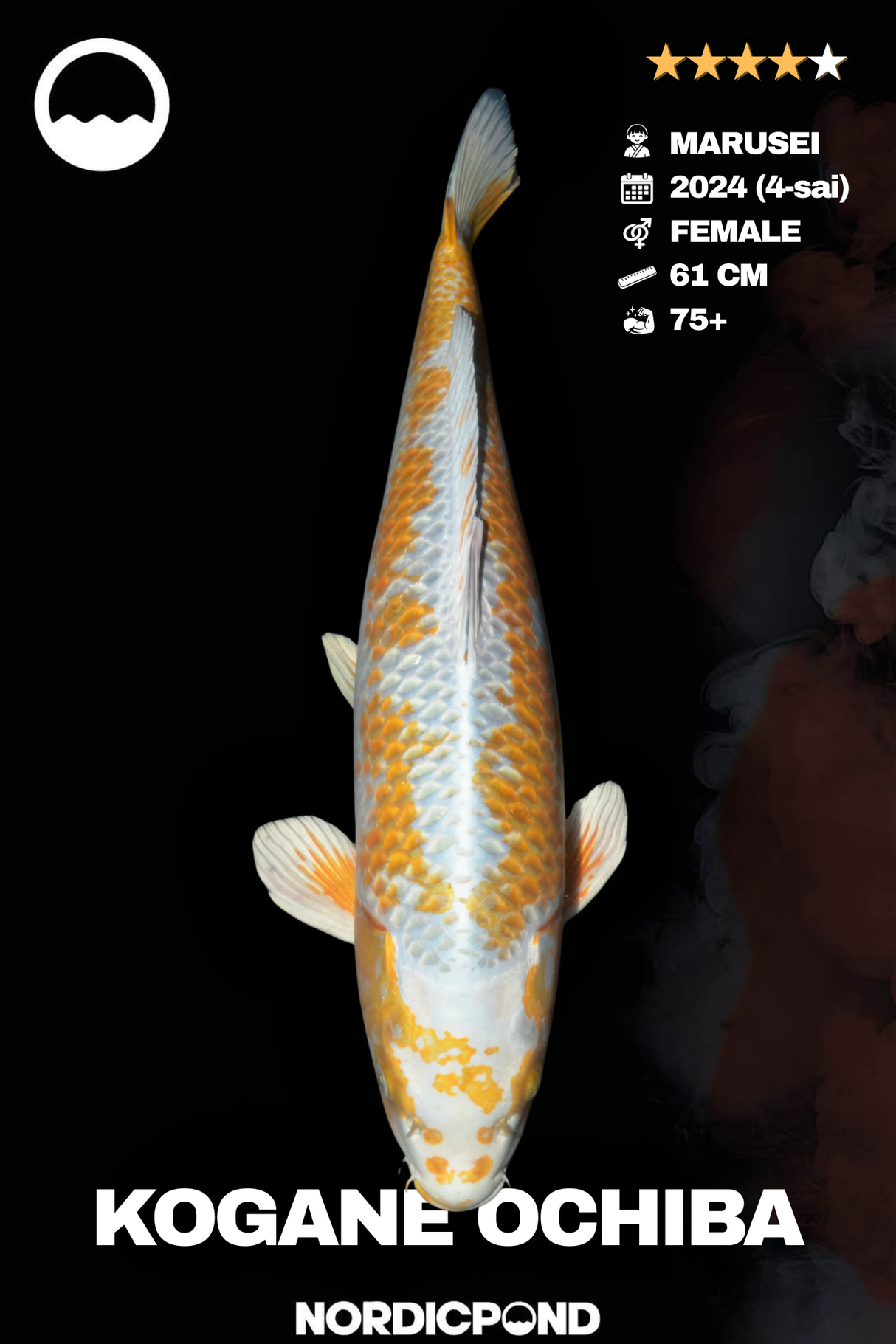 Marusei Kogane Ochiba Female