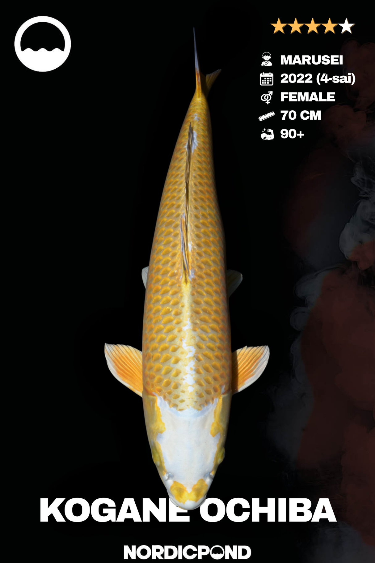 Kogane Ochiba Female