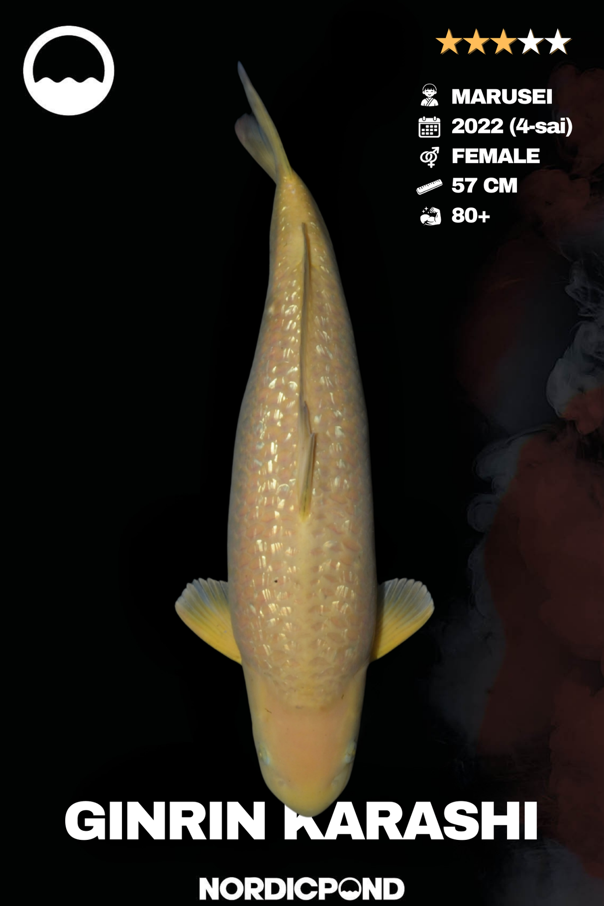 Ginrin Karschi Female