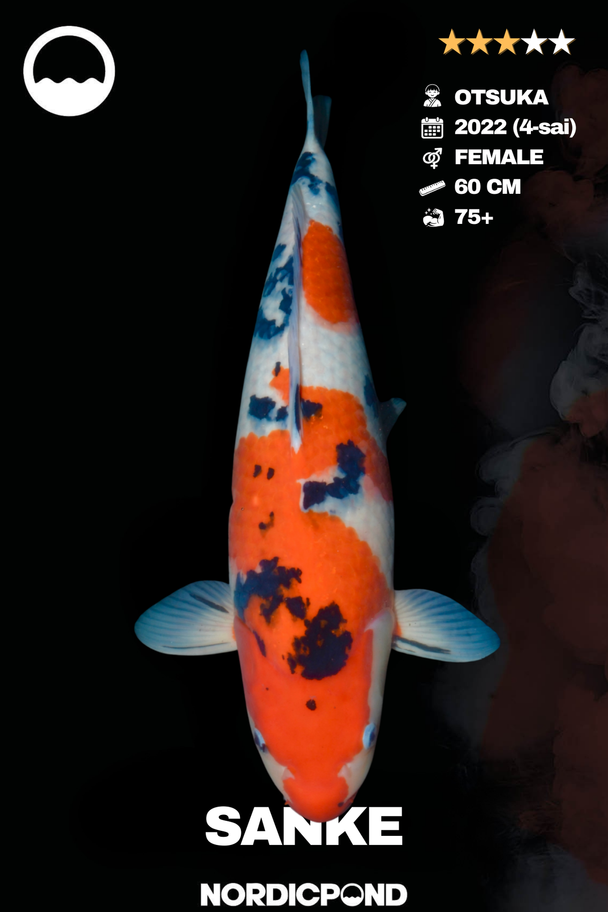 Sanke Female