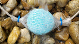 Applied Polymeer Systems, Inc. Pond Zinger