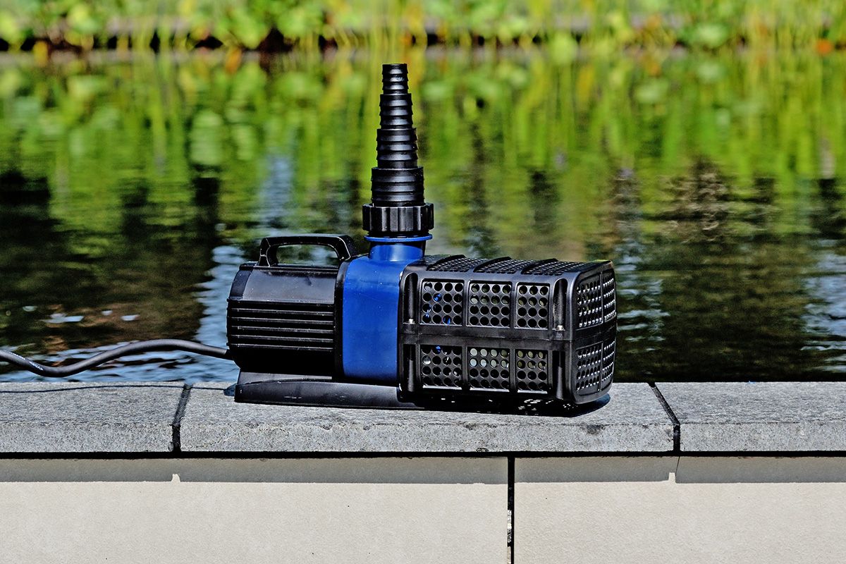 AquaForte Prime 12V