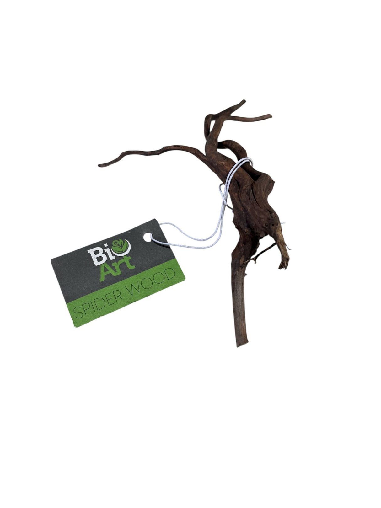 BioArt Spiderwood Naturholz