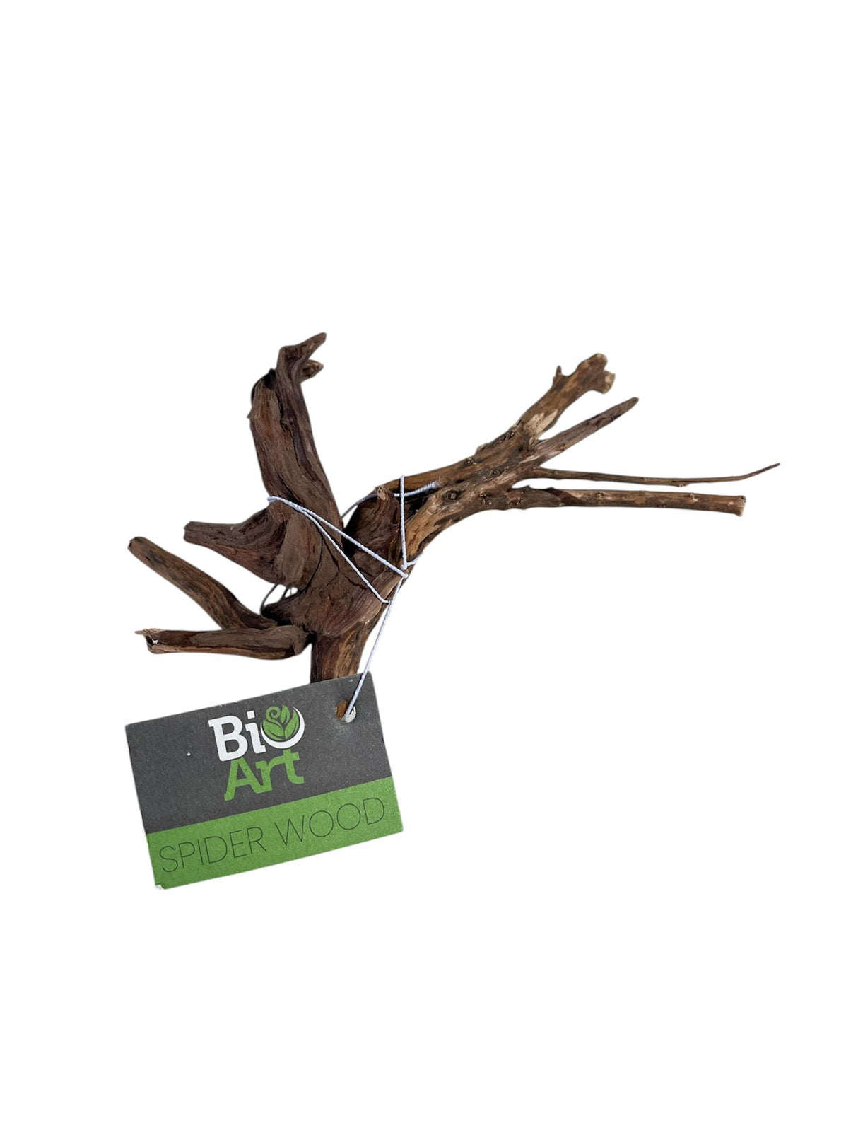 BioArt Spiderwood Naturholz