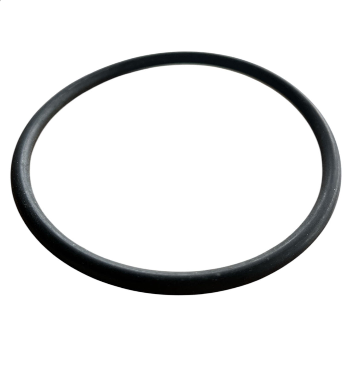 Aquaforte DM Ersatzdichtung O-Ring