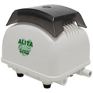 Alita High Blow