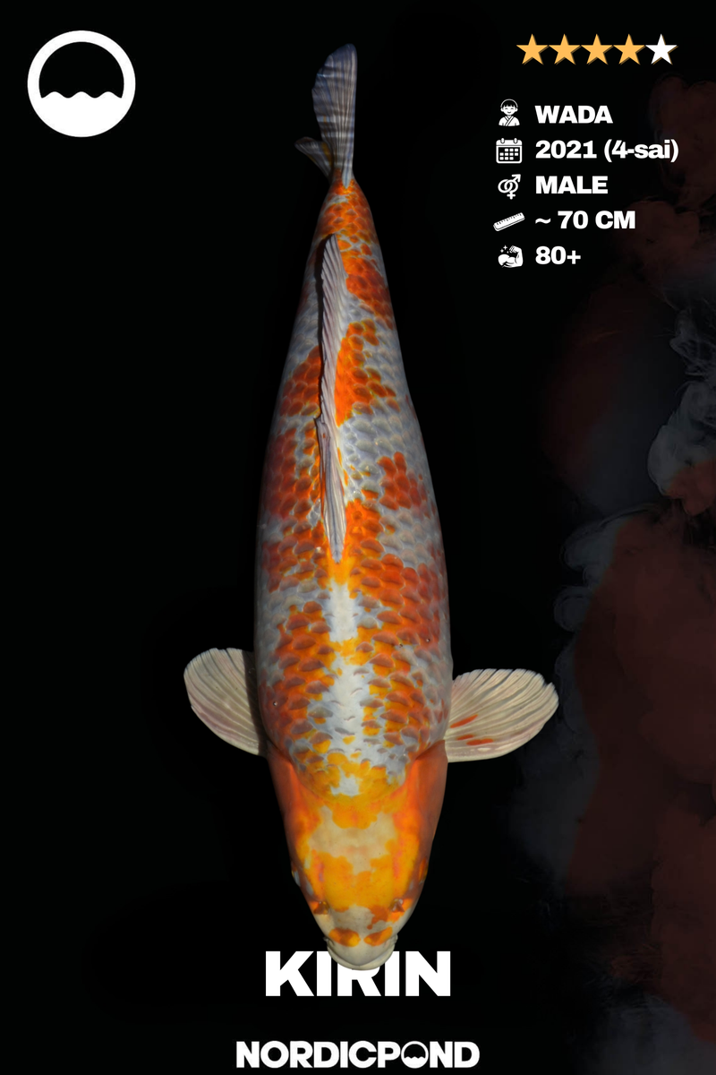 Wada Kirin